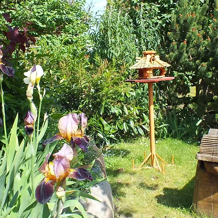 Kloenhus Apartamento Prerow